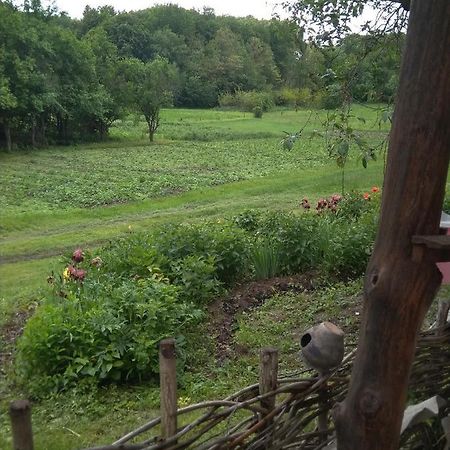 Гостьовий будинок Maliovnytsya Дибинці Екстер'єр фото