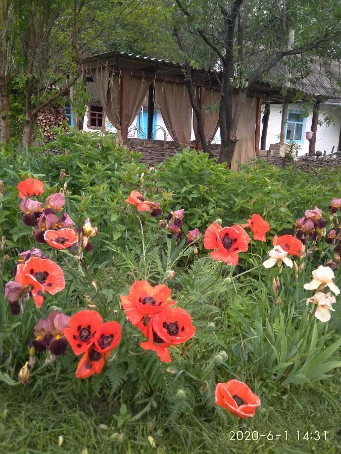 Гостьовий будинок Maliovnytsya Дибинці Екстер'єр фото