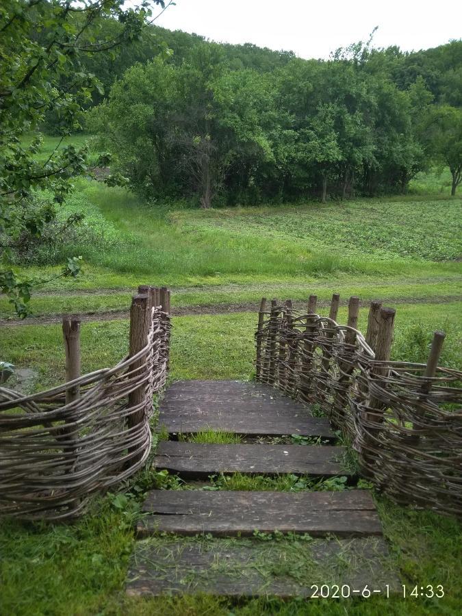 Гостьовий будинок Maliovnytsya Дибинці Екстер'єр фото