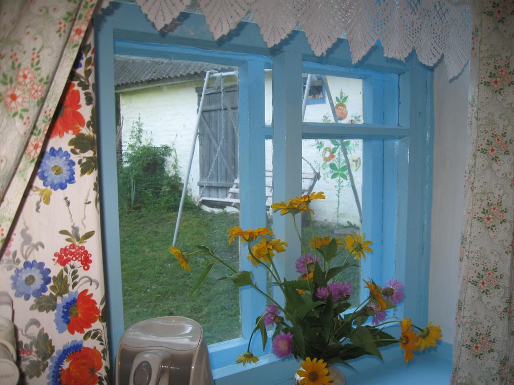 Гостьовий будинок Maliovnytsya Дибинці Екстер'єр фото