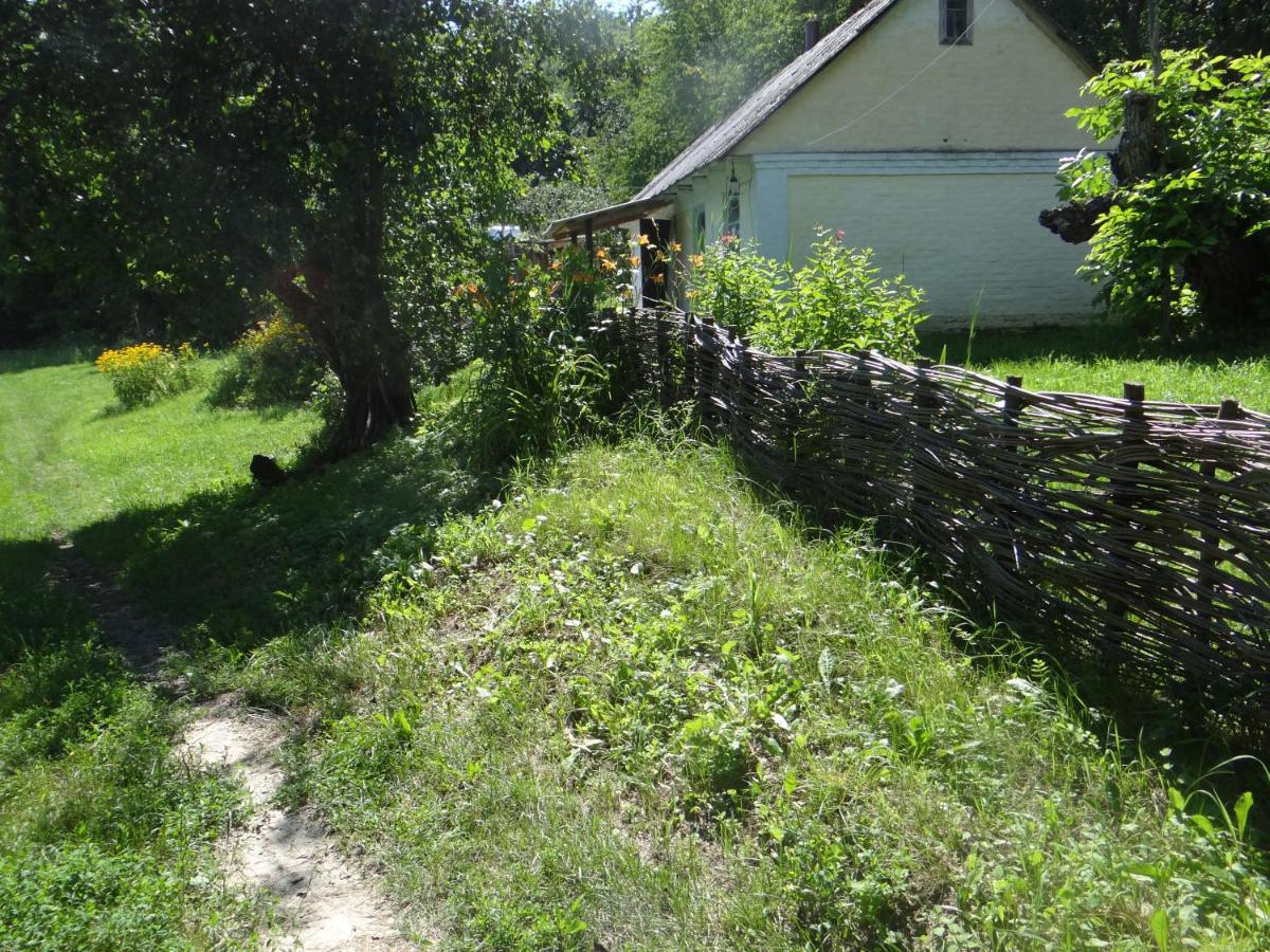 Гостьовий будинок Maliovnytsya Дибинці Екстер'єр фото