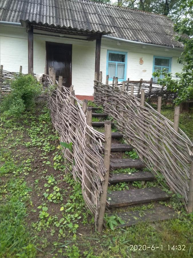 Гостьовий будинок Maliovnytsya Дибинці Екстер'єр фото